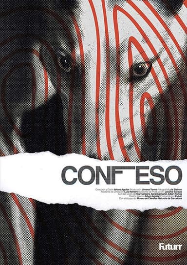 Call Confession poster