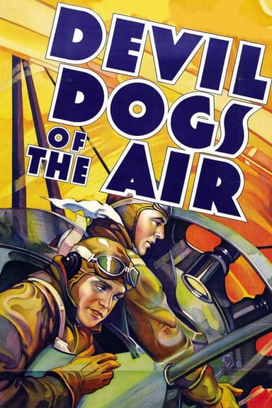 Devil Dogs of the Air poster