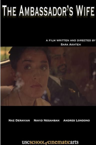 The Ambassador's Wife poster
