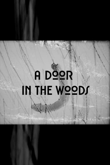 A Door in the Woods poster
