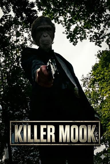 Killer Mook poster