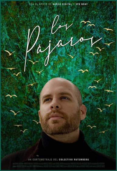 Los pájaros poster