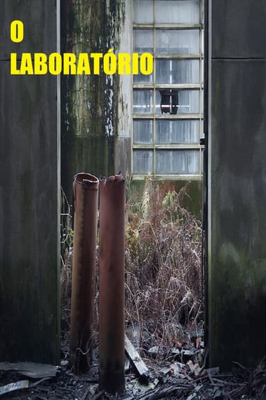 The Laboratory poster