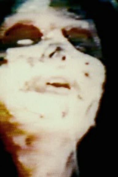 The Shifters poster