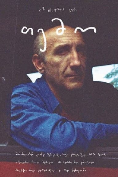 Temo poster