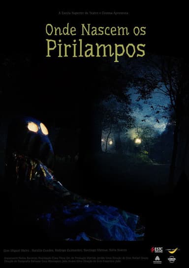Where Fireflies Sparkle poster