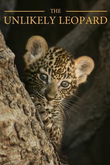 The Unlikely Leopard poster
