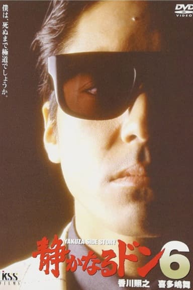 Quiet Don 6 poster