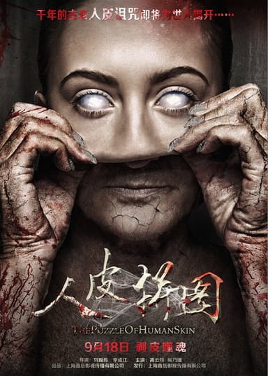 The Puzzle of Human Skin poster