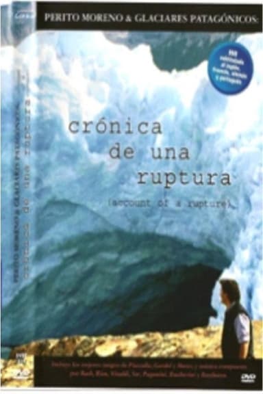 Crónica de una ruptura poster
