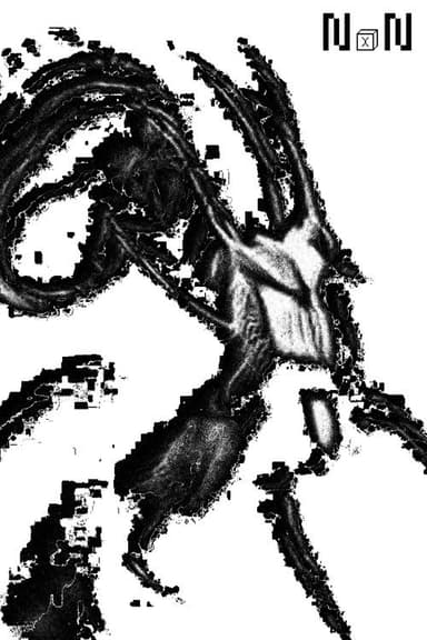 n x n poster