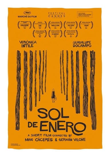 January Sun poster