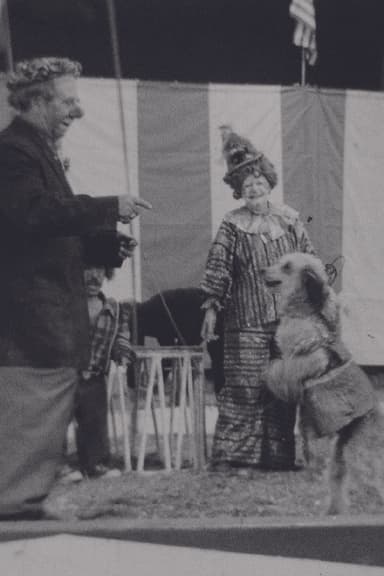 Circus poster