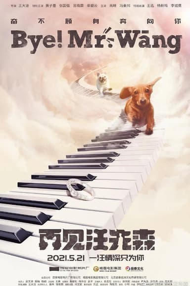 Bye, Mr Wang! poster