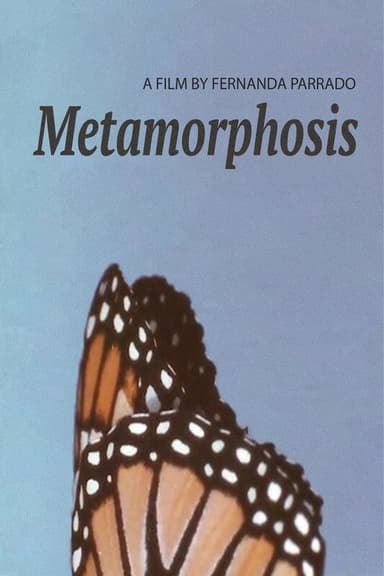 Metamorphosis poster