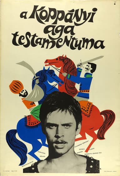 The Aga's Testament poster