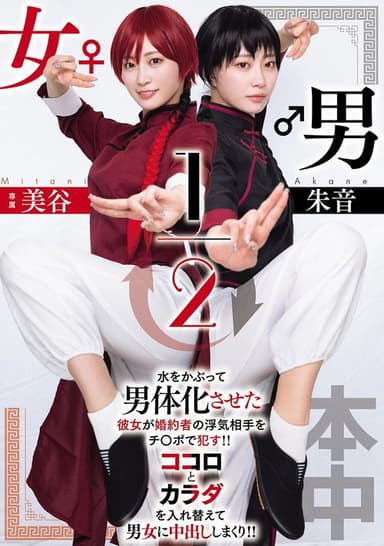 男女1/2 poster