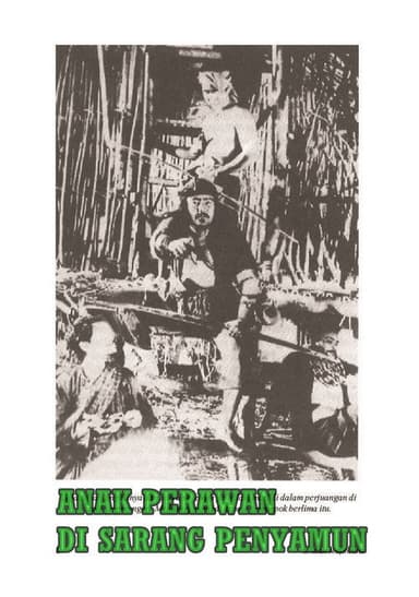 The Virgin in the Robbers' Nest poster