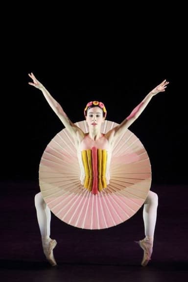 The Triadic Ballet poster