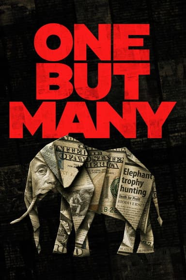 One But Many poster