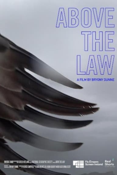 Above the Law poster