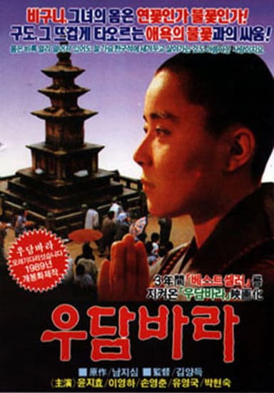 Auspicious Flower from Heaven poster