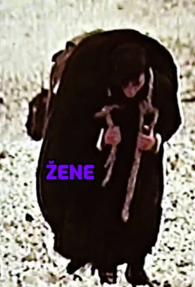 Women poster