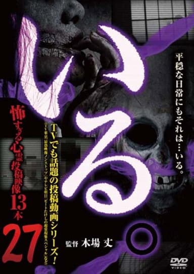 「Iru.」~ Kowasugiru Tōkō Eizō 13-hon ~ Vol.27 poster