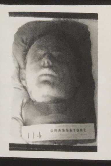 Cesare Lombroso - Sull'odore del garofano poster