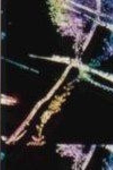 Cricket Requiem poster