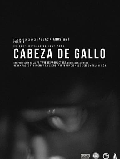 Cabeza de gallo poster