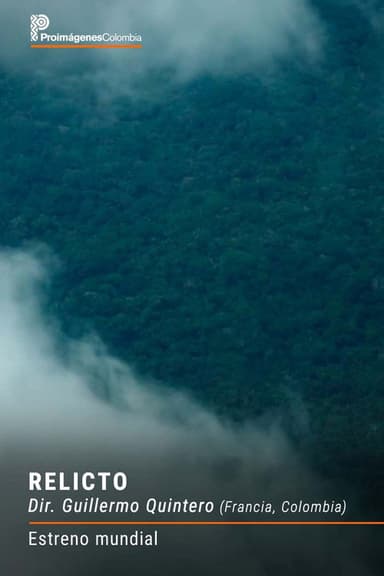 Relicto poster