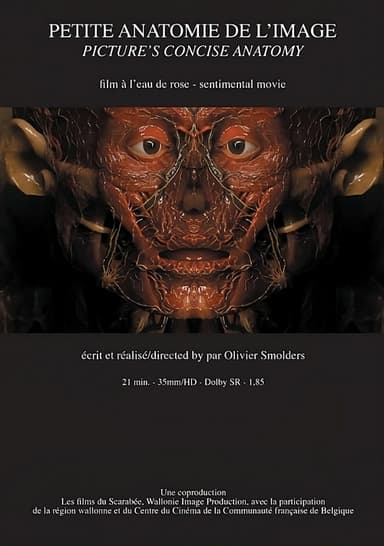 Petite anatomie de l'image poster