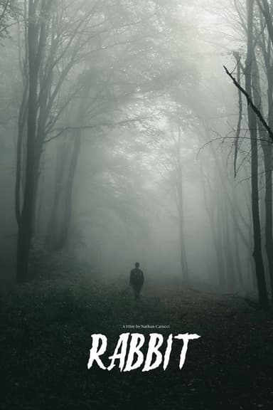 Rabbit poster