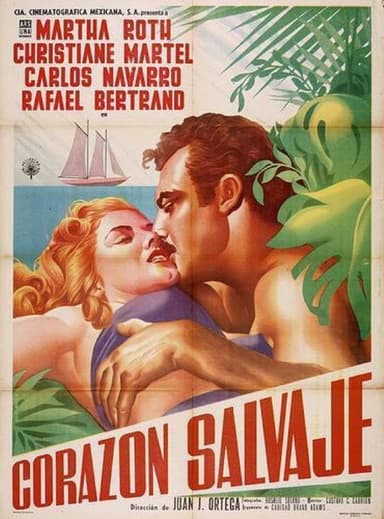 Wild Heart poster