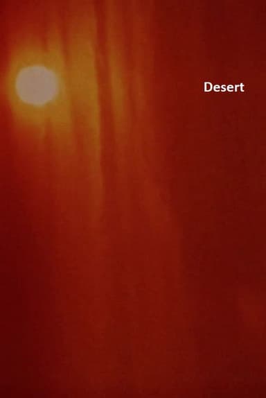 Desert poster