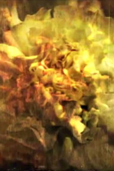 And the Sun Flowers poster