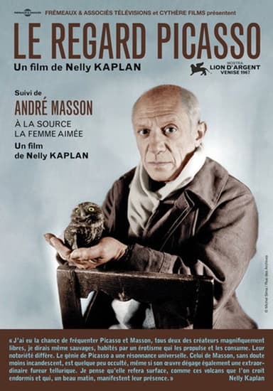 The Picasso Look poster