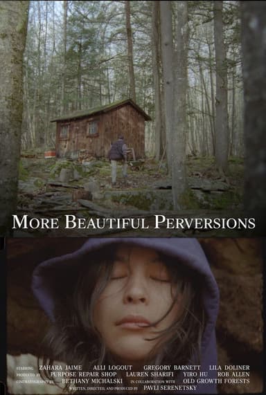 More Beautiful Perversions poster