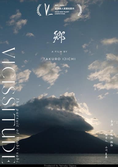 Vicissitude poster