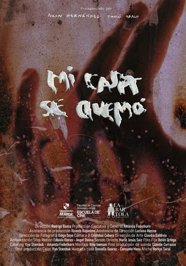My House got Burned poster