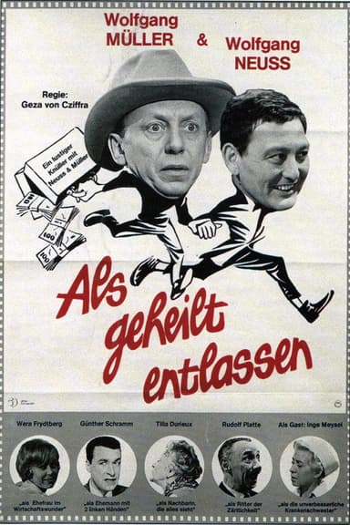 Als geheilt entlassen poster