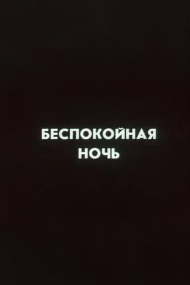 Ну погоди! Беспокойная ночь poster