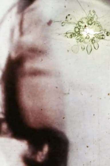 Possesed by a White Shadow poster
