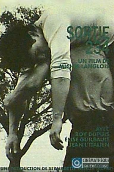 Sortie 234 poster
