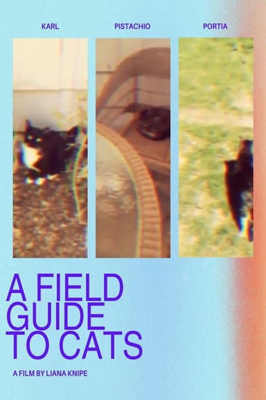 A Field Guide to Cats poster