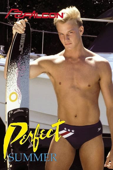 Perfect Summer poster