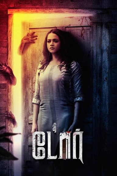 The Door poster