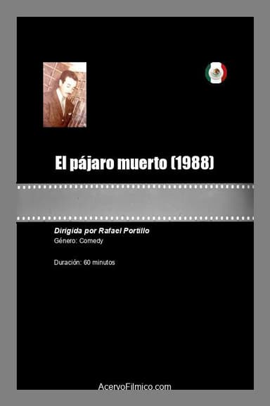 El pájaro muerto poster
