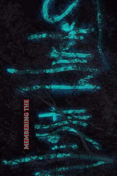 Membering the Night Witches poster